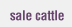 sale cattle