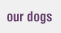 our dogs