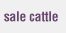 Sale Cattle