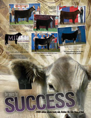 August 2008 Miller Cattle Co Ad